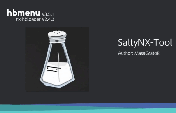SALTYNX